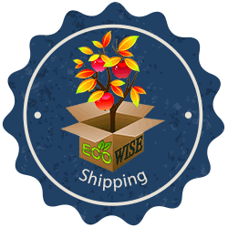 eco-wise shipping from Ty Ty Nursery